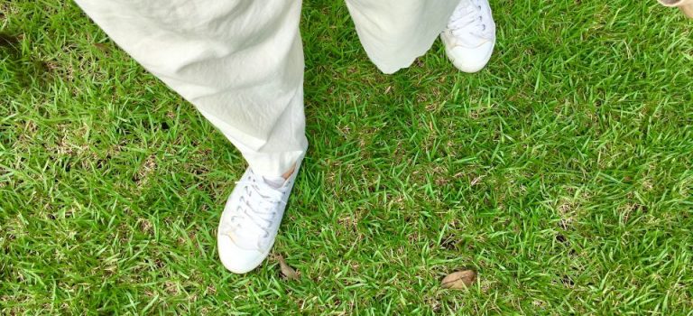 オリジナルTシャツ制作のポイントと業者選定の重要性 オリジナルTシャツ制作のポイントと業者選定の重要性